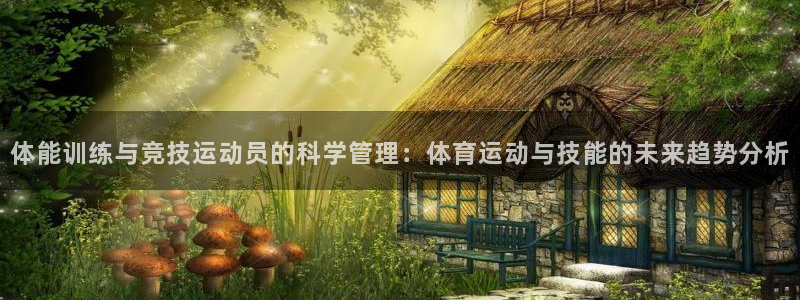678体育app