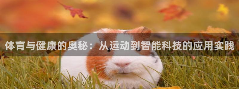 皇冠678体育
