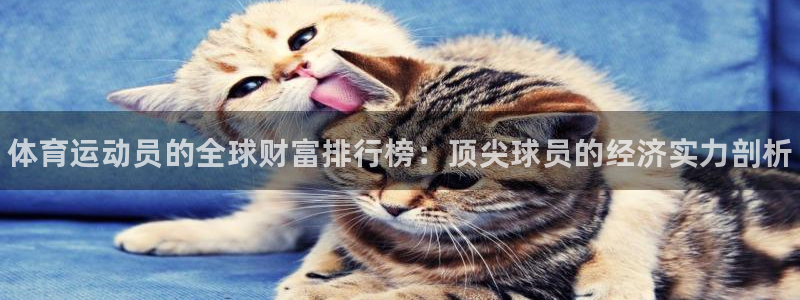 678体育app