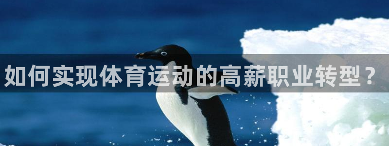 皇冠678体育