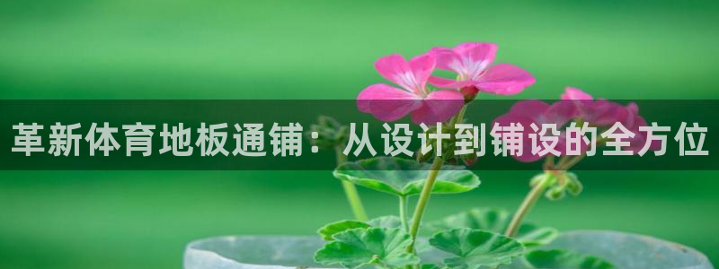 678体育app