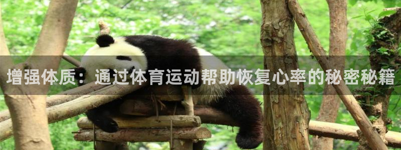 678体育官网