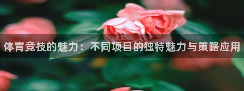 678体育官网地址