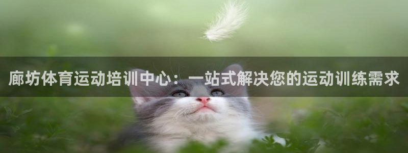 678体育