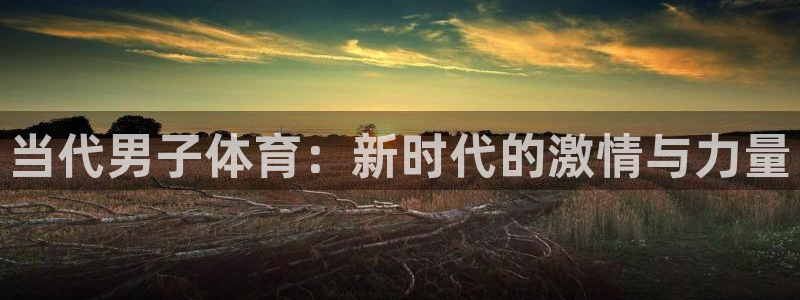 678体育