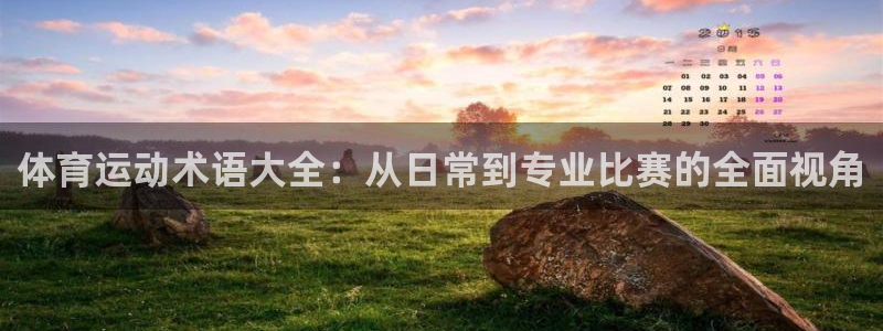 678体育官网