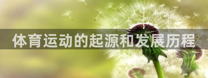 678体育官网下载