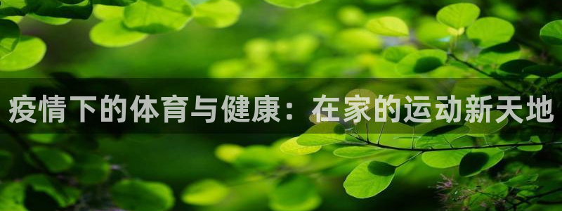 678体育
