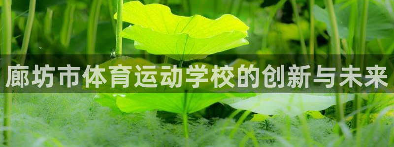 皇冠678体育