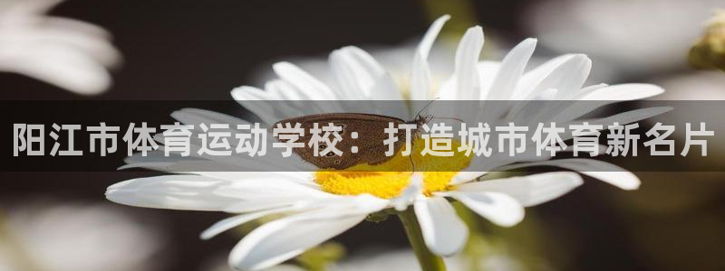 皇冠678体育