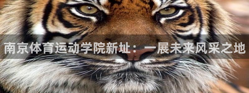 678体育app