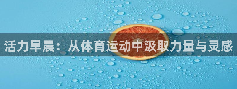 678体育官网地址