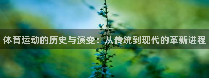 皇冠678体育