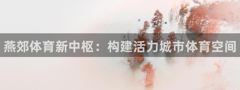 678体育app
