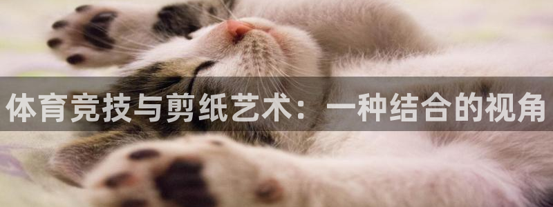 678体育官网下载
