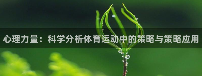 678体育app