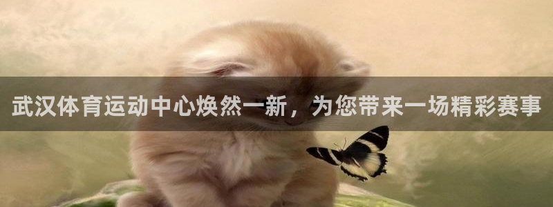 678体育官网地址