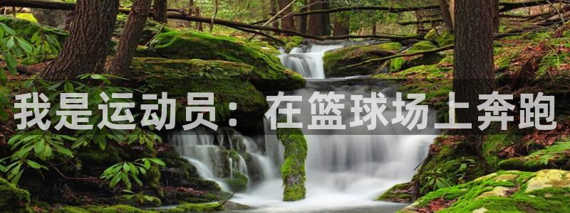 678体育官网下载