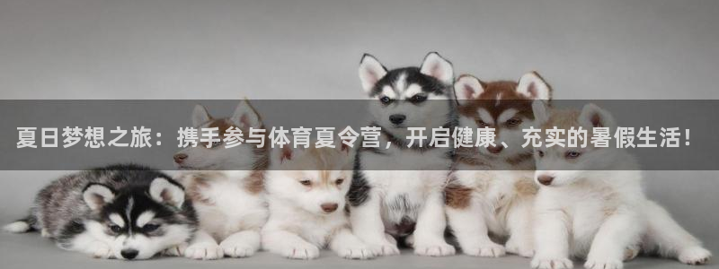 皇冠678体育