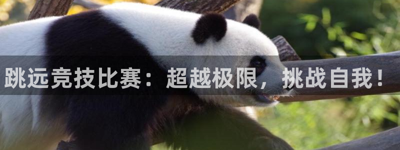 678体育官网地址