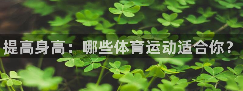 678体育官网下载